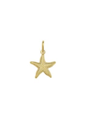Pingente Estrela do Mar 13mm - 00 - 21mm x 15mm - 0.68gr