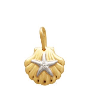 Pingente Concha c/ Estrela Do Mar Estampada (Rodio) - 00 - 13mm x 19mm - 0.91gr