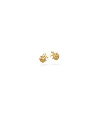 Brinco TP Cavalinho Mini - 00 - 1mm x 1mm - 0.30gr