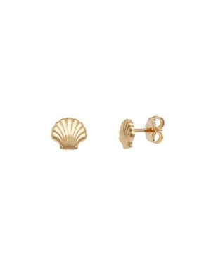 Brinco Concha  8mm - 00 - 8mm x 7mm - 0.75gr
