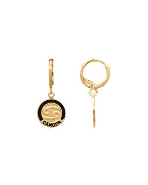 Brinco Argolinha c/ Signo Cancer (Resina) - 00 - 12mm x 27mm - 4.93gr