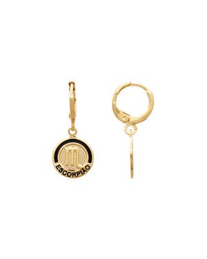 Brinco Argolinha c/ Signo Escorpiao (Resina) - 00 - 12mm x 27mm - 2.42gr