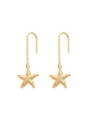 Brinco Gancho Estrela Do Mar Borda Torcida 13mm  - 00 - 14mm x 39mm - 1.72gr