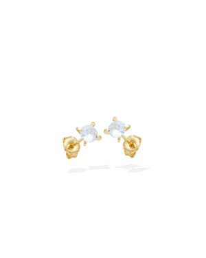 Brinco Zirconia 5mm c/ 4 Garras - 00 - 6mm x 6mm - 0.93gr