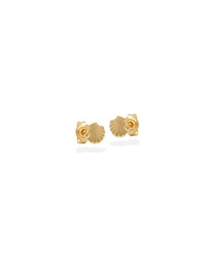 Brinco Concha Macica  - 00 - 5mm x 5mm - 0.48gr