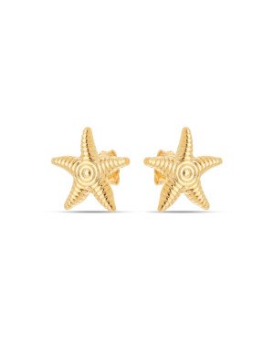 Brinco Estrela do Mar c/ Ondas 13mm - 00 - 15mm x 15mm - 1.40gr
