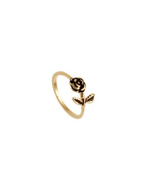 Anel Fundido Rosa Com Folhas (resina envelhecida) - 00 - 1mm x 1mm - 1.40gr
